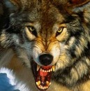 Андрій Чорнобров фотография #7 (источник - https://vk.com/id107558323)