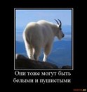 Віталій Андрійчук фотография #12 (источник - https://vk.com/id161394008)