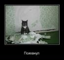 Сергій Бірак фотография #1