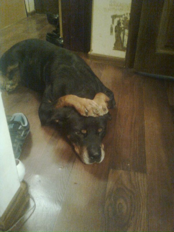 Валентина Степанова фотография #2