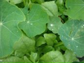 Фотография Думинской Ольги