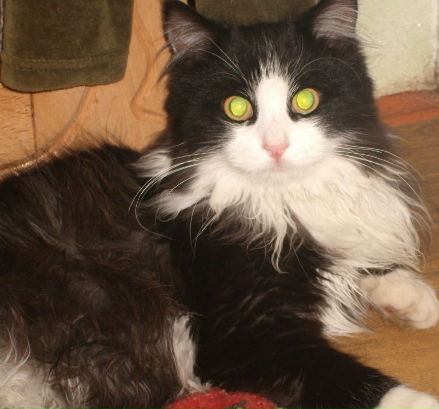 Наталья Логоденко фотография #1