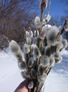 Фотография Железниковой Марины
