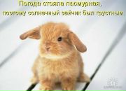 Фотография Татосян Нары