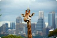 Фотография Остапий Ольги