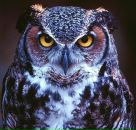 Фотография Киктенко Евгения