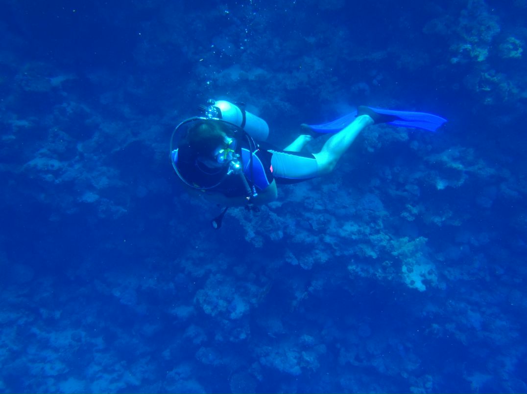 Vit Mi фотография #32