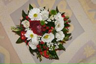 Фотография Дмитриевой Елены