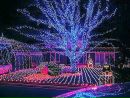 Κирилл Τарасов фотография #15 (источник - https://vk.com/id124119651)