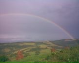 Міша Фіцай фотография #25 (источник - https://vk.com/id134525719)