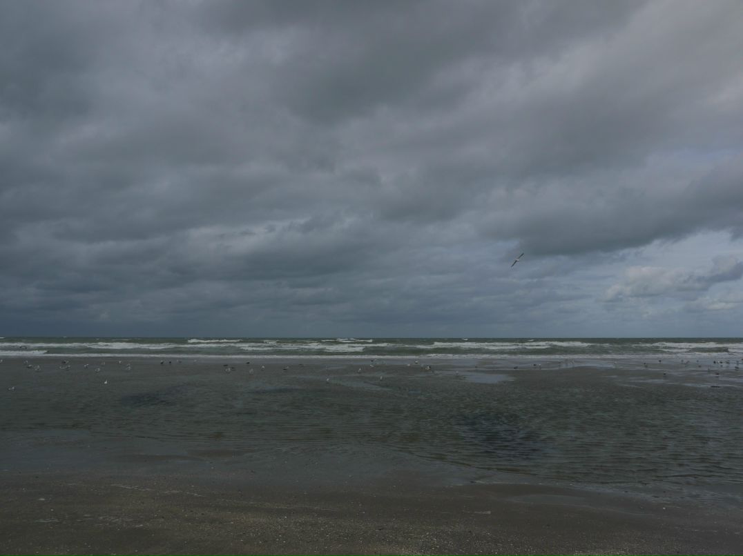 Дмитрий Гармидер фотография #19