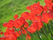 Фотография Куликовской Анастасии