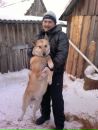 Фотография Губанова Сонечка