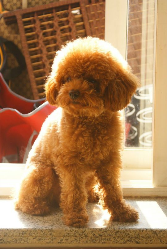 Max Mikhaylov фотография #23