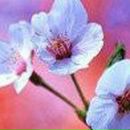 Катерина Ільїна фотография #37 (источник - https://vk.com/id9328914)