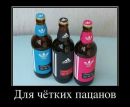 Міша Ковач фотография #1