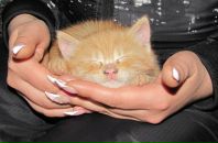 Фотография Преображенской Ксении