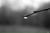 Фотография Загитовой Динары