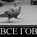 Віктор Кривоносюк фотография #26 (источник - https://vk.com/id31243615)