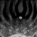 Фотография Борового Ивана