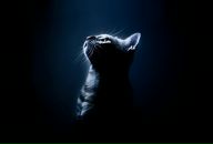 Фотография Пименовой Людмилы