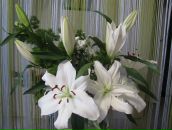 Фотография Ладнюк Юлии