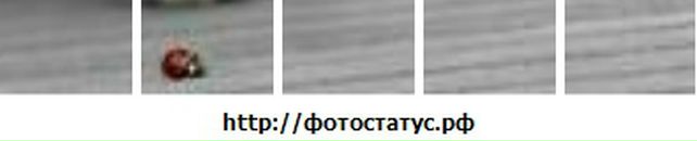 Настя Студзінська фотография #20 (источник - https://vk.com/id77719695)