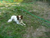 Рогнеда Степанова фотография #27 (источник - https://vk.com/id8756748)