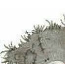 Анастасія Гудзак фотография #43 (источник - https://vk.com/id98965948)