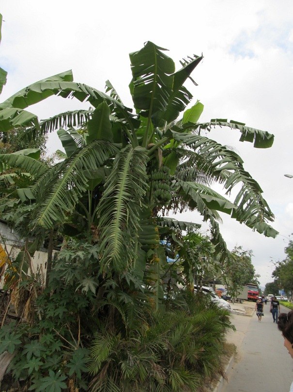 Дмитрий Русаленко фотография #25