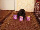 Дюрі Масяк фотография #16 (источник - https://vk.com/id19779231)