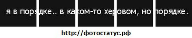 Ирина Мищенко фотография #26 (источник - https://vk.com/id17107253)