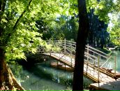 Сергей Матвейчук фотография #9 (источник - https://vk.com/id2555655)