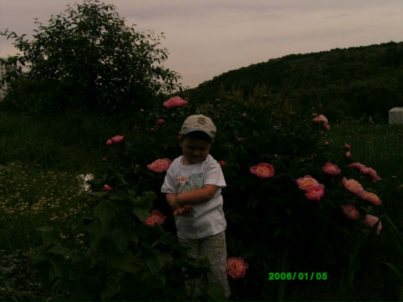 Света Митленко фотография #17