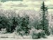 Міша Копанський фотография #34 (источник - https://vk.com/id25378517)