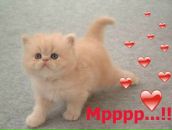 Фотография Жеребкина Егора