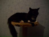 Сергей Бубнов фотография #39 (источник - https://vk.com/id7908242)