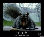 Фотография Ушкаловой Надежды