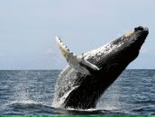 Фотография Толчевой Анны