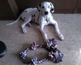 Антон Котов фотография #35 (источник - https://vk.com/id288997)