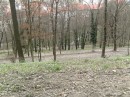 Пєтя Сулъ фотография #23 (источник - https://vk.com/id62115522)