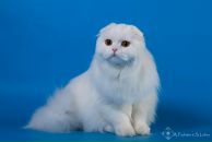 Фотография Молко Татьяны