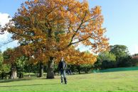 Віктор Iвасюк фотография #36 (источник - https://vk.com/id48444397)