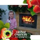 Христуся Константинів фотография #11 (источник - https://vk.com/id96277993)