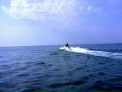 Дмитрий Шевченко фотография #50 (источник - https://vk.com/id11221979)