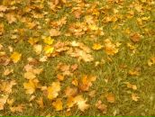 Фотография Карецкой Ольги