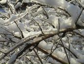 Фотография Океева Олега