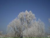 Мирослава Годій фотография #13 (источник - https://vk.com/id93978018)