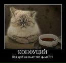 Віталік Новак фотография #14 (источник - https://vk.com/id14774341)