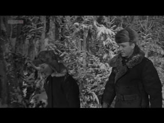 Александра Пахмутова. Старый клён